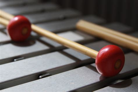 Free Images : music, pool, red, sports equipment, percussion ...