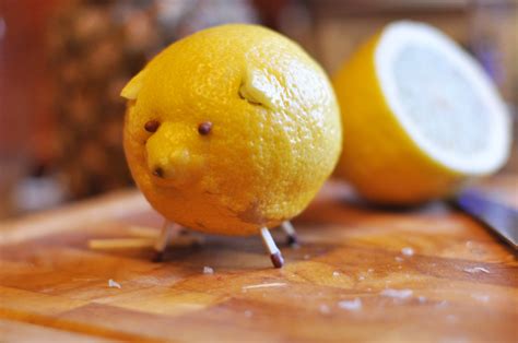 KARIKJØSNES: I'VE JUST MADE A LEMON PIG