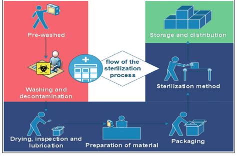 Sterilization process. | Download Scientific Diagram