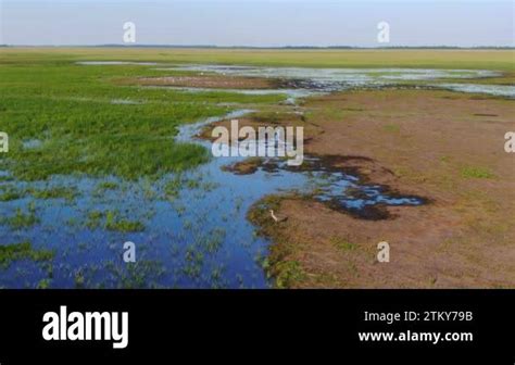 The marshy, flooded area. It is a unique ecosystem, rich in flora and ...