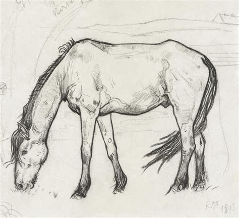 Horse Illustration, Illustration Pen And Ink, Horse Pens, Horse ...