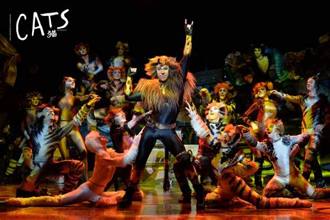 'Cats' The Musical Has Cancelled All Shows In Malaysia