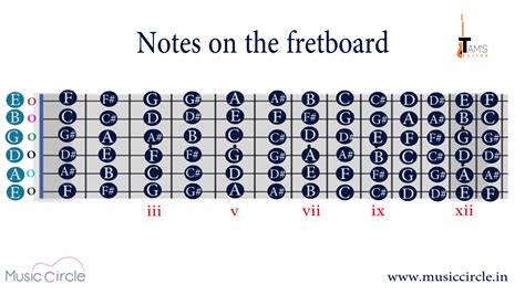 Guitar Fretboard Notes Chart