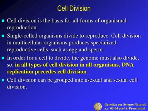 PPT - Cell Division PowerPoint Presentation, free download - ID:3017039