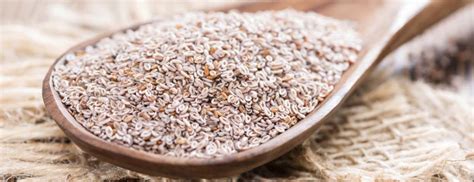 psyllium - Plant Medicine News