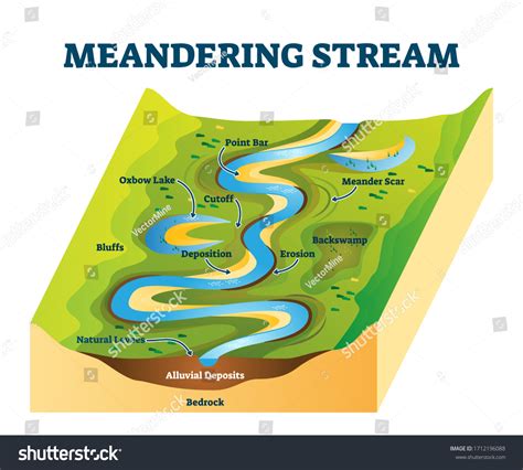 Meander Formation