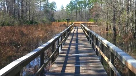 28 Best Things To Do In Valdosta Ga (Georgia) - 2025