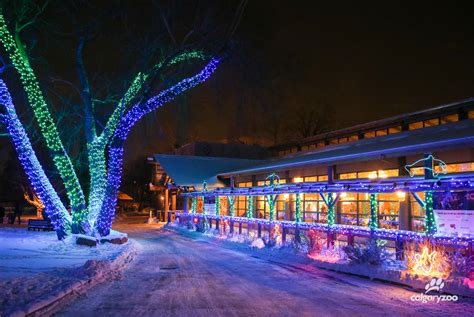 10 photos of the 1.5 million lights at Zoolights | Daily Hive Calgary