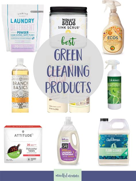 Best Non-Toxic Cleaning Products to Tackle the Whole House