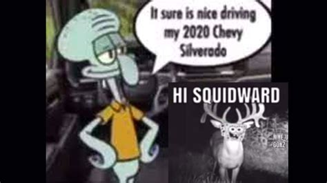 Hi Squidward / It Sure Is Nice: Video Gallery | Know Your Meme