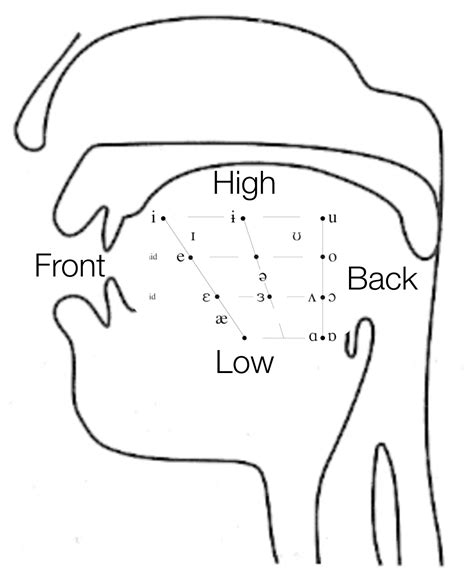 Diphthongs