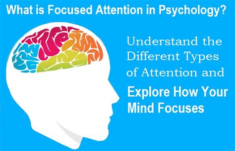 What is Focused Attention in Psychology?: Understanding the 4 Types of ...