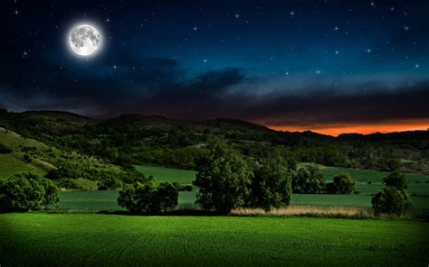 Nature Night Sky Wallpaper