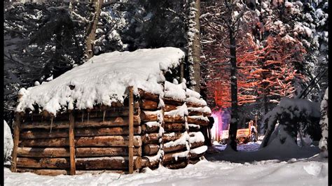 Cozy survival shelter. Credit: Iamoutdoorsy : r/CozyPlaces