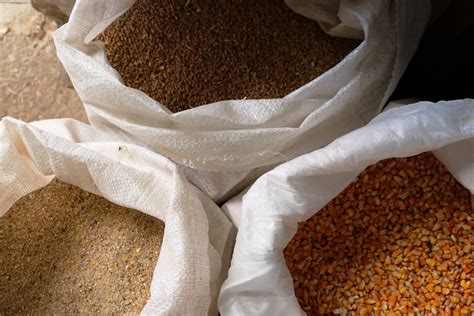 6 Pros and Cons of Grain Farming - Boldface News