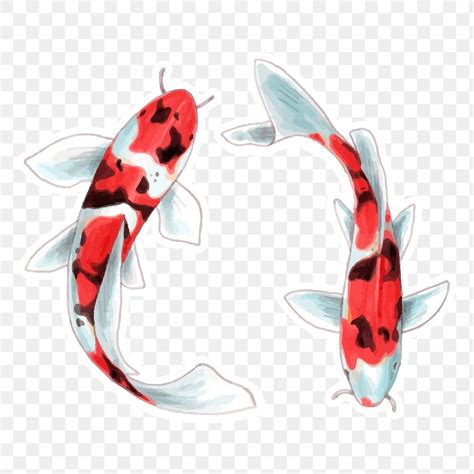 Png japanese koi fish cartoon | Free PNG Sticker - rawpixel