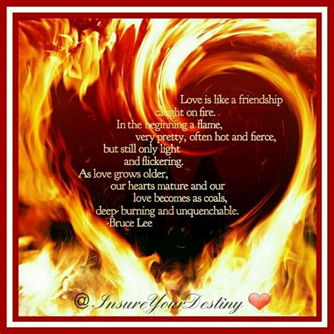 Love is like a friendship caught on fire in the beginning a flame very ...