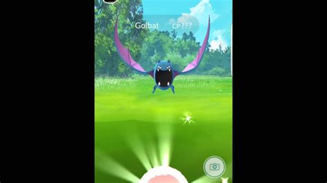 Golbat- Pokémon GO - Catching - Stats - YouTube