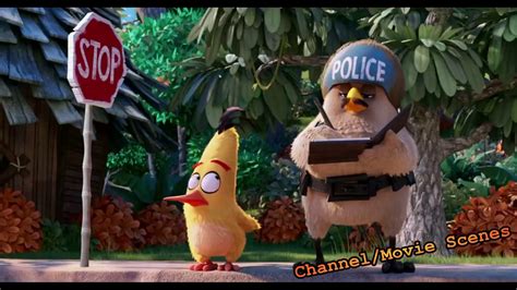 The Angry Birds Movie Funny Moments - YouTube