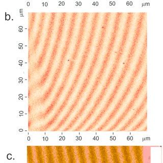 Magnetic field microscope image of the domain structure on samples with ...