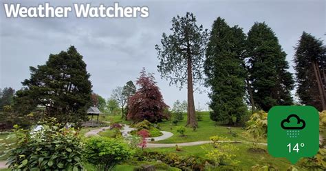 Report - BBC Weather Watchers