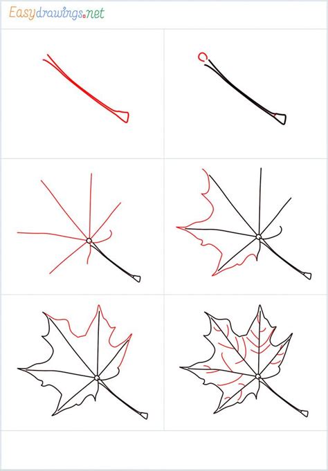 How to draw a fall leaf step by step - Easydrawings.net | Fall drawings ...