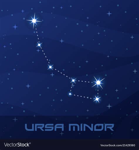 Constellation ursa minor little bear Royalty Free Vector