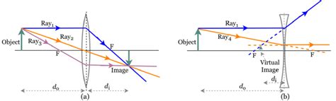 Images Formed By Concave And Convex Lenses