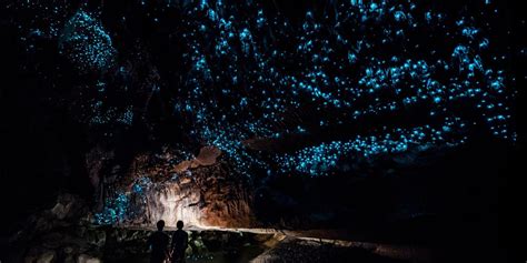 Unsere Tour zu den Te Anau Glowworm Caves - Erfahrung und Tickets