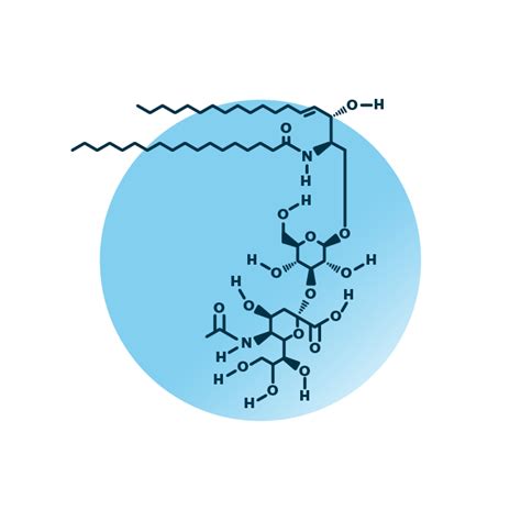 Ganglioside Structure