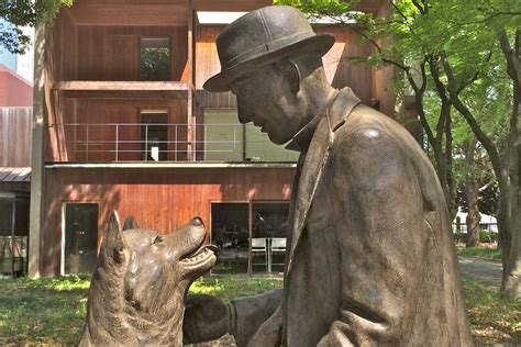 Who Crafted The Hachiko Statue: A Tribute To Loyalty