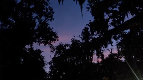 Savannah, GA | South usa, Savannah chat, Sunset