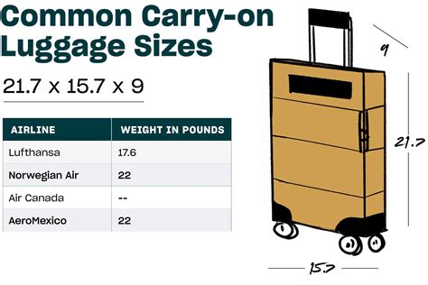 What Happens If Your Carry On Is Too Large - Free Word Template