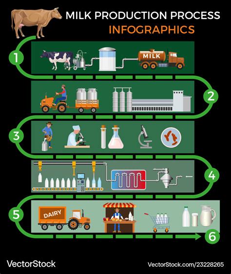 Cow Milk Production Process