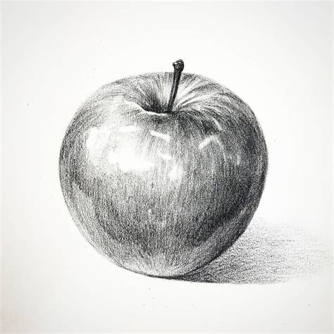 How to draw an apple with pencil easy step by step sketch of apple