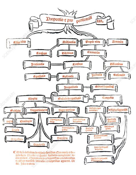 Artwork of the different branches of mathematics - Stock Image - V560 ...