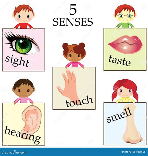 Five Senses Clipart Clip Art My Five Senses Senses | Images and Photos ...