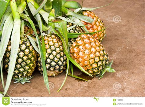 Asian market fruits stock photo. Image of green, consumerism - 4478936