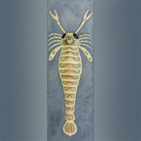 Eurypterid | The New York State Museum