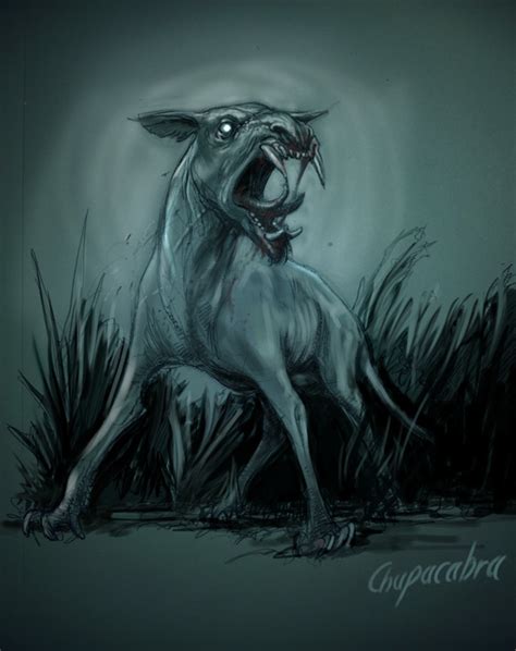 Chupacabra by SimonFraser on DeviantArt