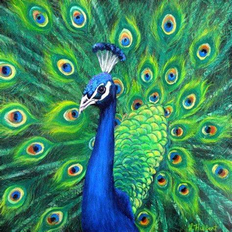 Peacock Painting by Sheila Hibbert