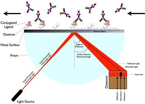 【分析技术】SPR 表面等离子共振（Surface Plasmon Resonance）的基本原理与应用 - 知乎