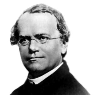 Gregor Mendel - Wikipedia, la enciclopedia libre