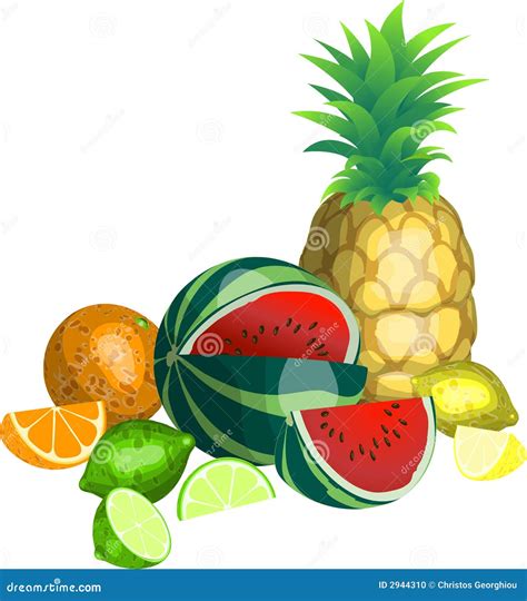 Tropical Fruit stock vector. Illustration of melon, vector - 2944310