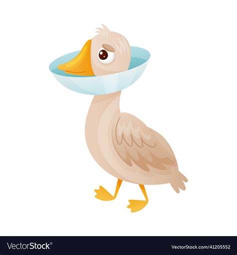 Sick goose with protective veterinary collar Vector Image