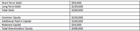 Debt to Equity Ratio Examples - BrandonGaille.com