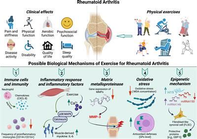 Frontiers | Clinical effect and biological mechanism of exercise for ...