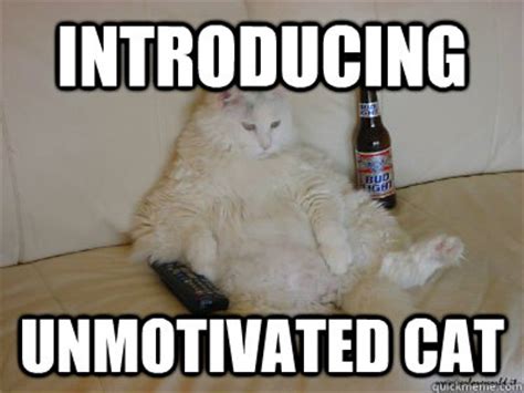 Introducing unmotivated cat - Misc - quickmeme