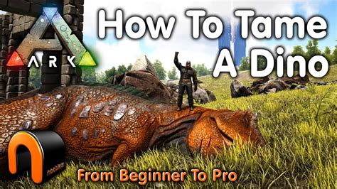 Ark HOW TO TAME A DINOSAUR Everything You Need To Know To Start Taming ...