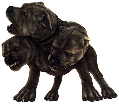 Three-headed dog | Harry Potter Wiki | Fandom